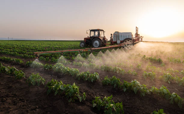 Best Pest Removal Services  in El Cerro Mission, NM
